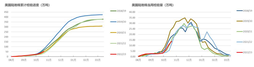 籽棉最新價格動態(tài)分析，籽棉最新價格動態(tài)解析與趨勢展望