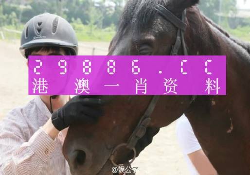 澳門今晚必中一肖一碼準(zhǔn)確（澳門今夜精準(zhǔn)一肖一碼揭曉）