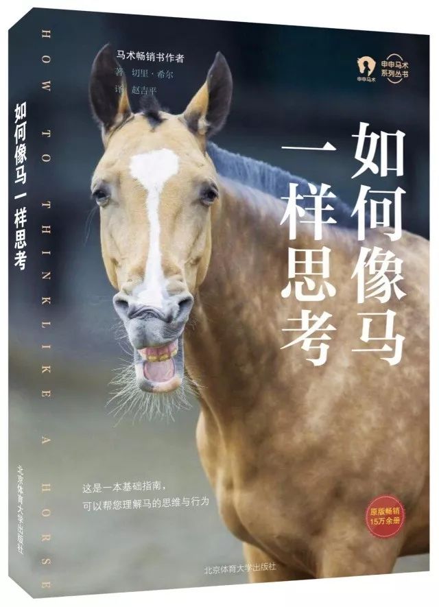 今晚澳門特馬開什么今晚四不像（“澳門特馬今晚揭曉，四不像神秘面紗即將揭開”）