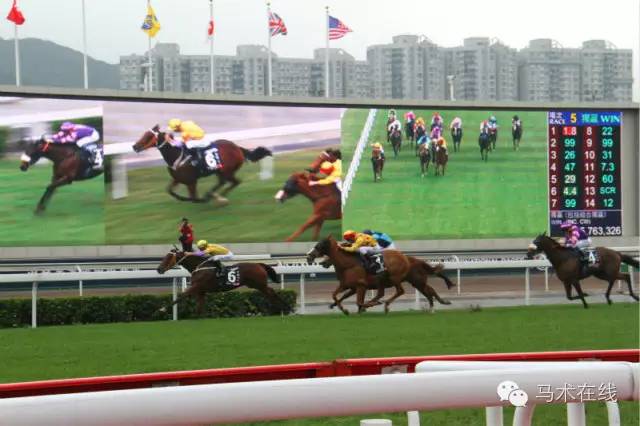 關于香港今晚開什么特馬的真相揭秘——警惕賭博犯罪風險，香港今晚開什么特馬真相揭秘，警惕賭博犯罪風險