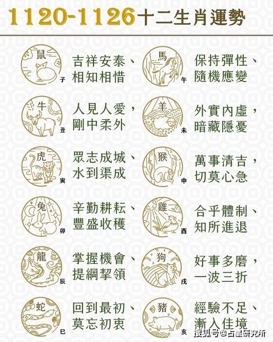 管家婆最準(zhǔn)一肖一碼：生肖運(yùn)勢(shì)預(yù)測(cè)的精準(zhǔn)指南