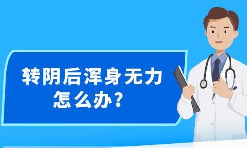 新澳精準(zhǔn)資料免費(fèi)提供,效率資料解釋落實(shí)_高級(jí)版85.923