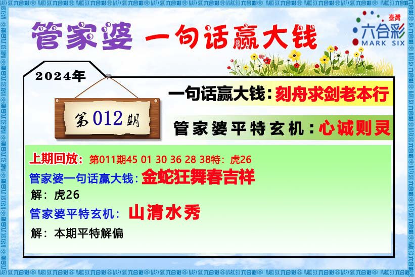 揭秘202管家婆一肖一碼的秘密世界，揭秘202管家婆一肖一碼的秘密世界，揭秘背后的真相與秘密！