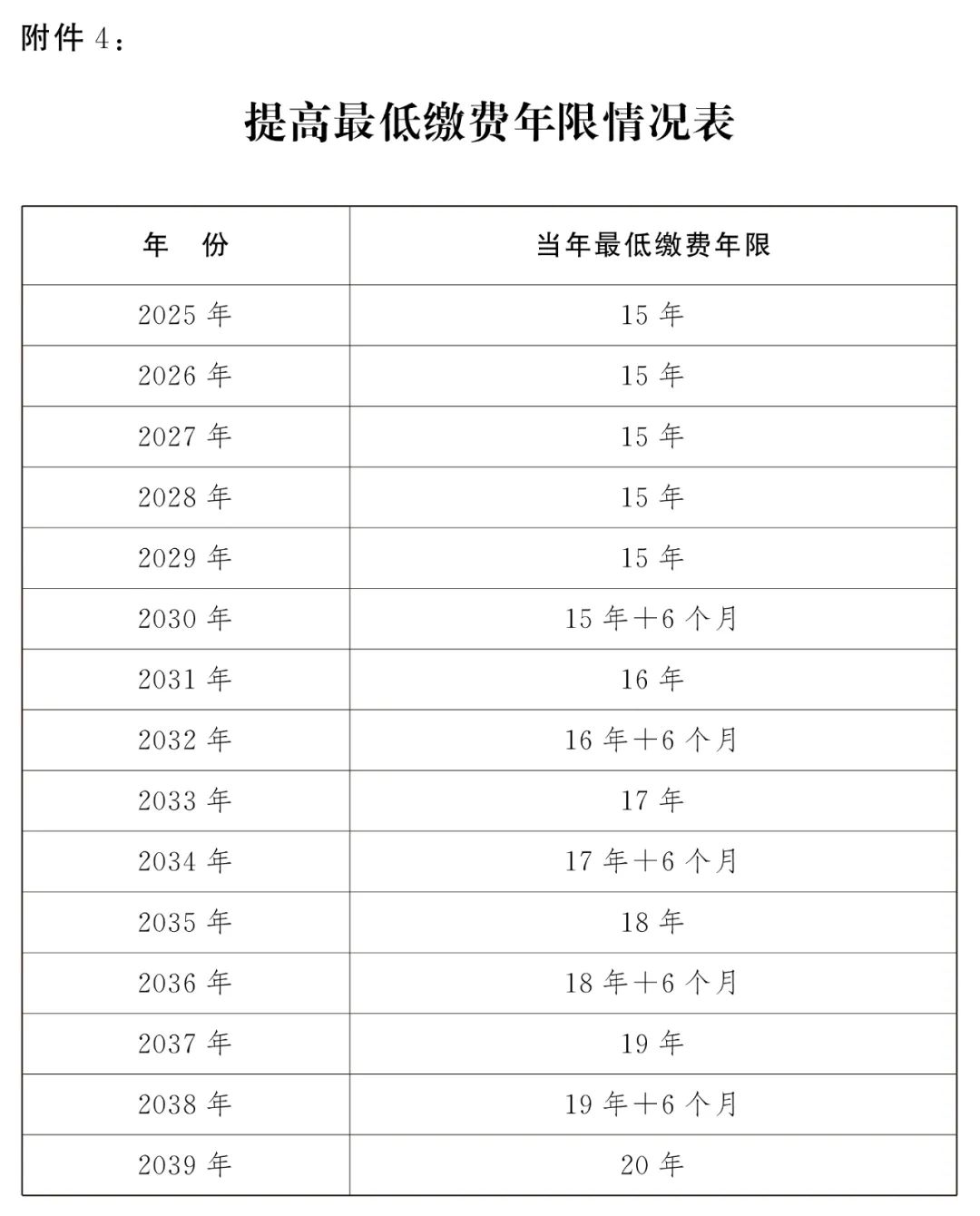 2024澳門今期開獎結果深度解讀，彩市風云再起