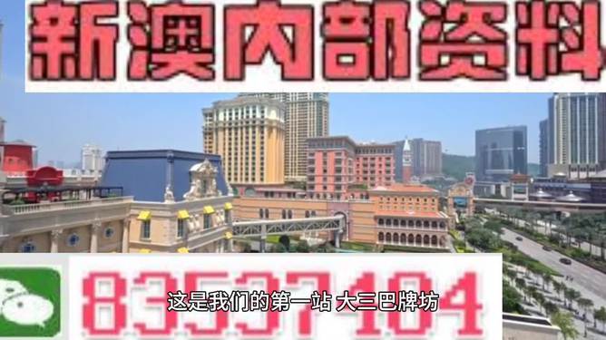 2024年新澳精準(zhǔn)正版資料使用指南：提升企業(yè)競爭力的秘訣