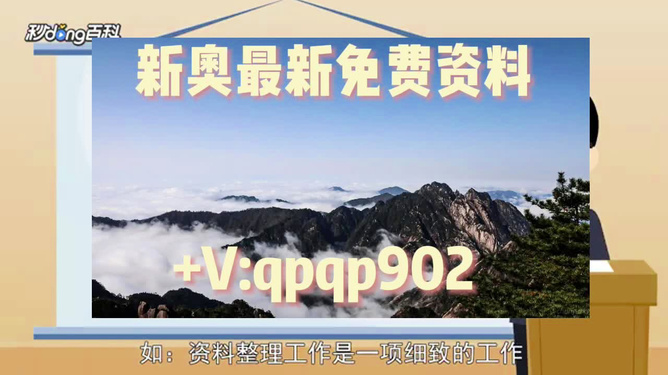 2024新奧正版資料全面解析與免費(fèi)獲取指南，2024新奧正版資料全面解析與獲取指南